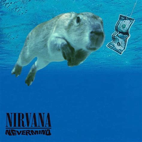 Capybara Album Covers on Instagram: “Nirvana - Nevermind, 1991 ...