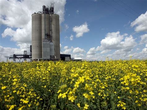 Viterra profit grows on fertilizer sales | Financial Post