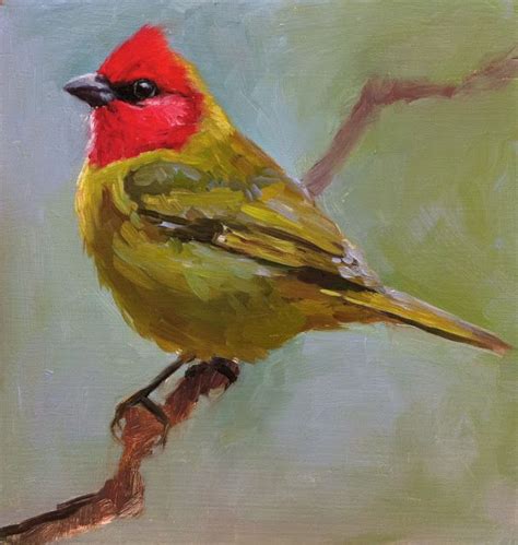 finch: a few new birds and some news! | Birds painting, Painting, Animal paintings