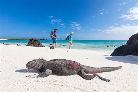 Enchanted Galapagos Islands - 2024 - Hugh Rose Photography