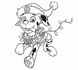Paw Patrol Christmas Coloring Pages sketch template