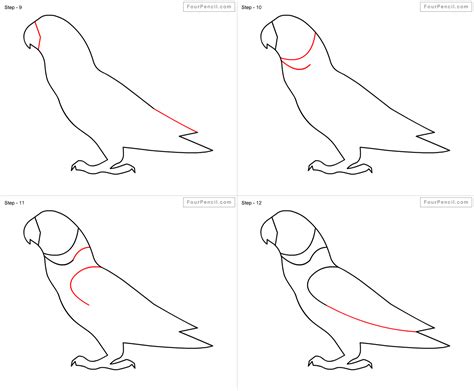 Fpencil: How to draw Parrot for kids step by step