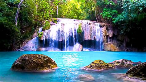 Relaxing Nature Sounds, Ambient Jungle Waterfall, 24/7 Live Stream, Sleep, Study - YouTube