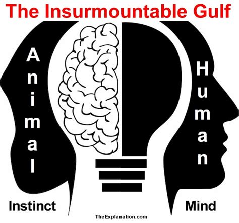 Animal Instinct & Human Intelligence, Insurmountable Gulf