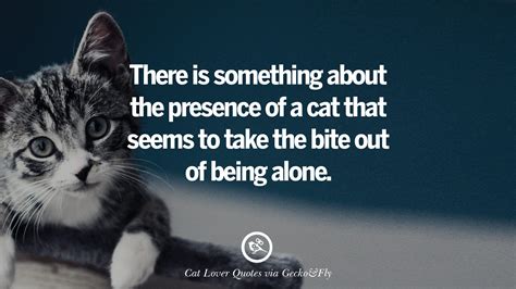 25 Cute Cat Images With Quotes For Crazy Cat Ladies, Gentlemen And Lovers