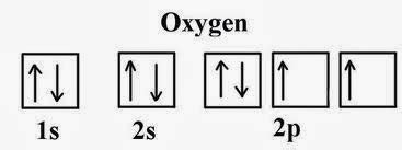 CSEC Chemistry: Electron Configuration/Orbital Box Diagrams-Lunden