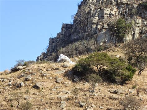 Walking the Battlefields: Aftermath of the Battle of Isandlwana (1869)