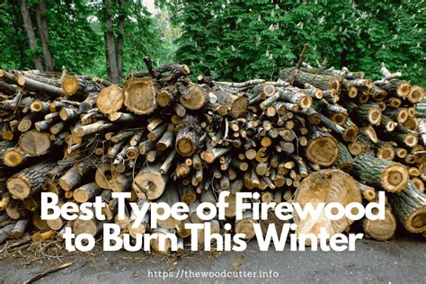 Best Types of Firewood for Your Fireplace or Wood Burning Stoves