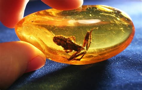 Amber Gemstone