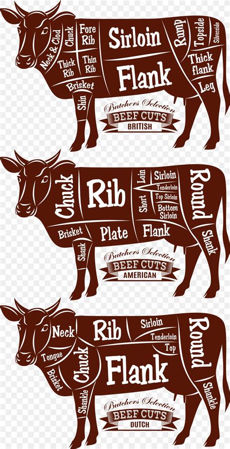 Beef Cattle Cut Of Beef Diagram Butcher, PNG, 4198x8199px, Cattle, Advertising, Brand, Butcher ...