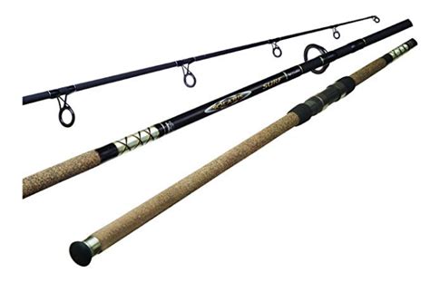 Best Surf Fishing Rods for 2019 | Fishmasters.com