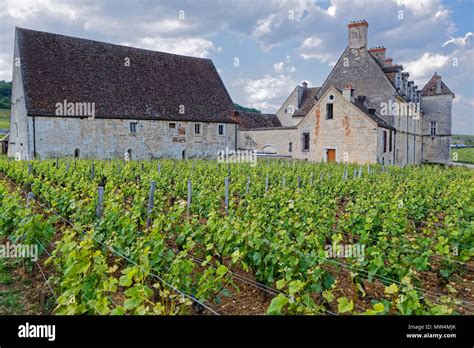 VOUGEOT, FRANCE, May 19, 2018 : Chateau du Clos de Vougeot. Clos de Vougeot is the largest ...