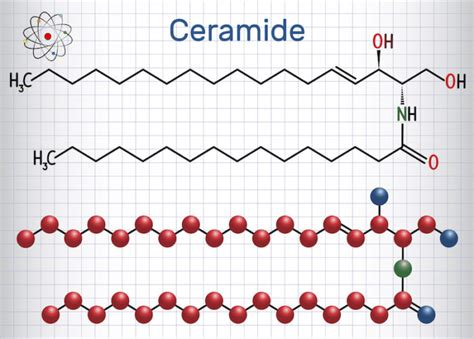 ALL ABOUT CERAMIDE & ITS RELATIONSHIP TO SKIN-AGING - Flora’s Vanity