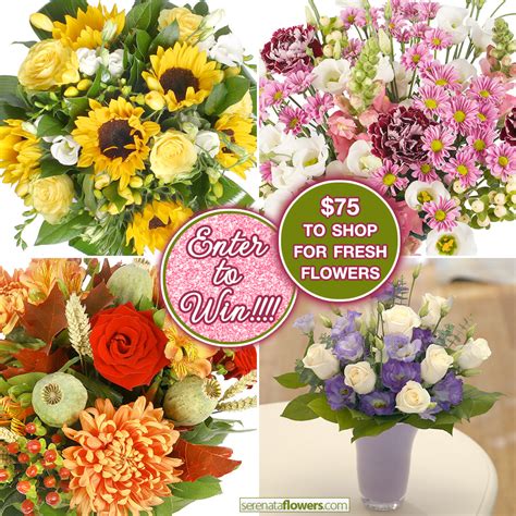 Giveaway : Win $75 in Fresh Floral Arrangements + Bouquets from ...