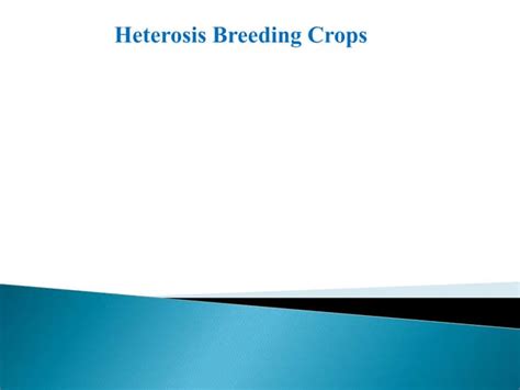 Heterosis breeding.pptx