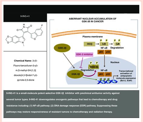 Mechanism of Action of GSK-3ß and 9-ING-41 (GSK-3ß inhibitor). 9-ING-41... | Download Scientific ...