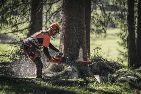 Husqvarna 572XP Review and Guide: Is This The Best Chainsaw For Professionals? - The Forestry Pros