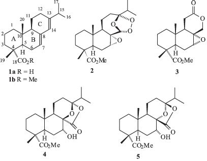 Structure of abietic acid (1a) and its derivatives 1b-5. | Download Scientific Diagram