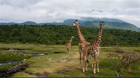 Arusha national park Map | Arusha City | Tanzania Safaris Tours