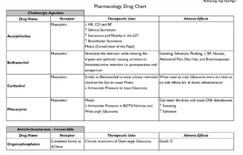 FREE 7+ Sample Drug Classification Chart Templates in PDF