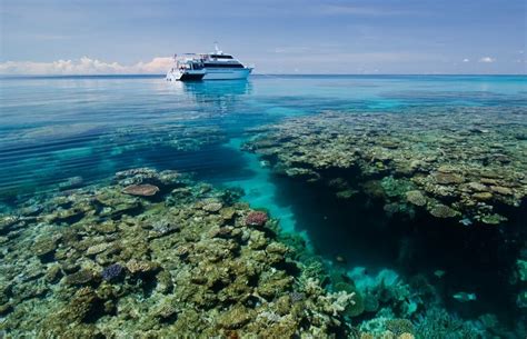 Volunteer in Australia - Marine Conservation at the Great Barrier Reef - Images