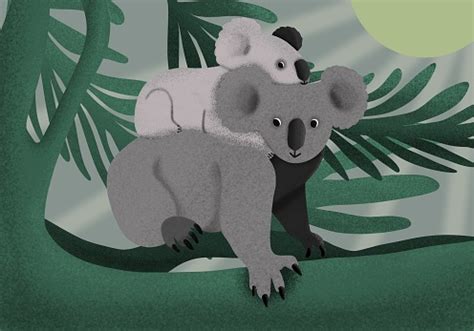 Koala Family In Tree Stock Illustration - Download Image Now - Animal ...