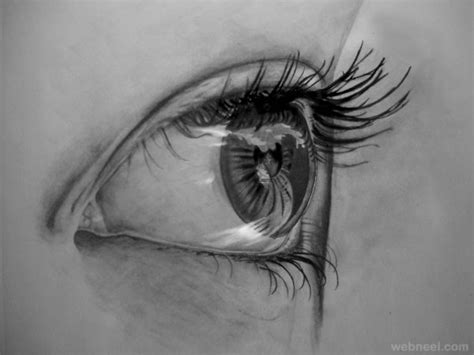 Reflection In Eyes Drawing