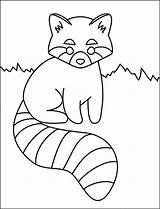 Red Panda Coloring Page Free Printable Sheets For Kids sketch template
