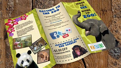 FREE 13+ Zoo Brochure Templates in PSD | AI | Vector EPS