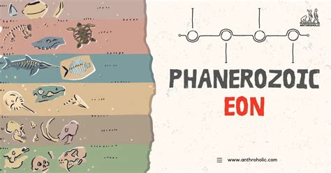 Phanerozoic Eon | Anthroholic