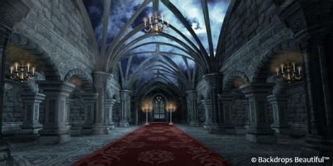 gothic castle interior - Buscar con Google | Castles interior, Castle, Medieval castle