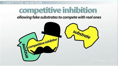 Competitive Inhibition | Definition, Mechanism & Examples - Lesson | Study.com