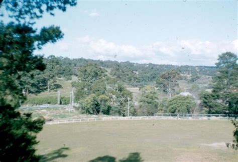 Photograph - Photograph - Digital Image, Greensborough Park 1958, 1958_