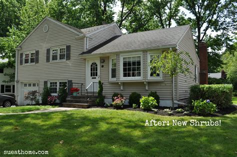 Before and After: New Landscaping – Sue At Home