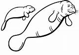 Happy Manatee Coloring Page  Free Printable Coloring Pages For Kids sketch template