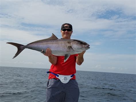 Pensacola Fishing Charters | Cant Quit Fishin