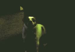 Cool Dog Rave Dance Moves GIF | GIFDB.com