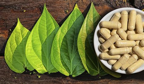 Kava Kava—A Natural Herb With Promising Anti-Anxiety Effects｜ iHerb Blog