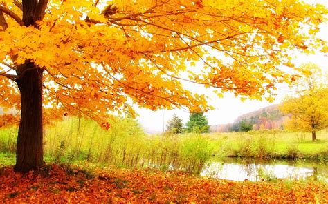 HD Autumn Scenery Wallpaper - High Definition, High Resolution HD ...