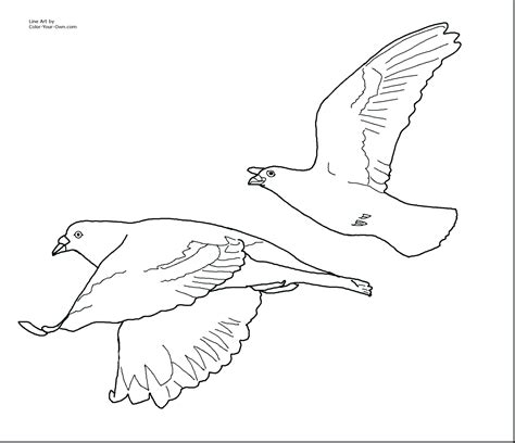 Flying Bird Line Drawing at GetDrawings | Free download