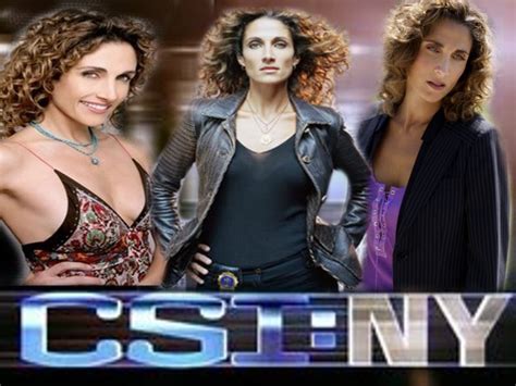 Stella Bonasera - CSI:NY Wallpaper (24136957) - Fanpop