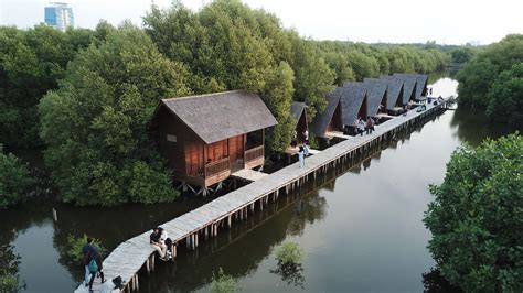 Hutan Mangrove PIK di Jakarta | Atourin