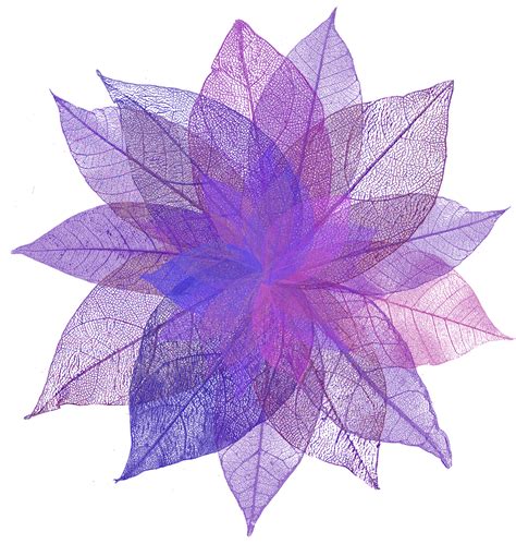 Discover the coolest #flower #purple #leaf stickers | Photo and video editor, Picsart, Video ...