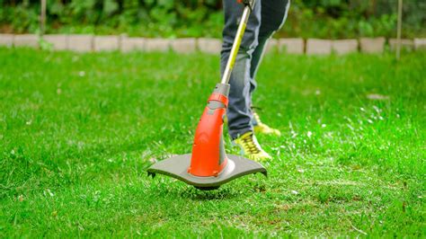 Weed Eaters: How to Use to Easily Clean Up Yards | ReviewThis