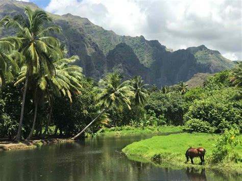 A Complete Guide to the Marquesas Islands, French Polynesia