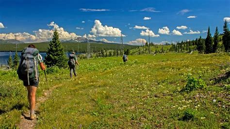 Yellowstone Hiking Tours, Yellowstone Hiking Trips | Wildland Trekking