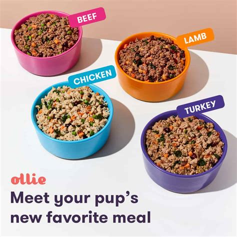 Ollie Dog Food Review 2021: The Best Fresh Pet Food Around?