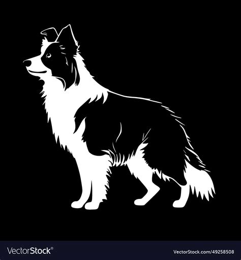 Border collie - minimalist and flat logo Vector Image