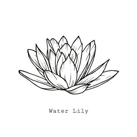 Small Water Lily Flower Tattoo - July Birth Flower Tattoos: Water Lily Tattoo & Delphinium | Zoe ...