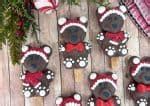 Christmas Oreo Pops: Easy Chocolate Covered Teddy Bears